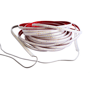 LED Stripes ab IP44 bei Elektrosysteme Engelhardt GmbH in Windsbach